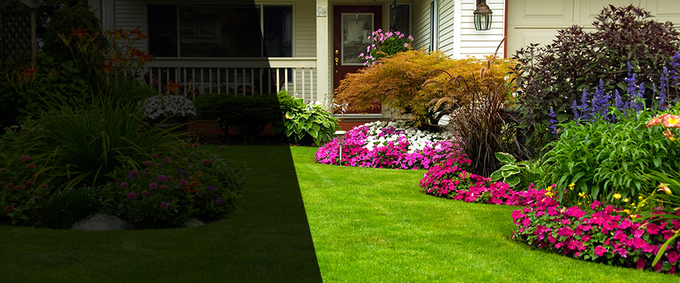 Larwill Landscapers