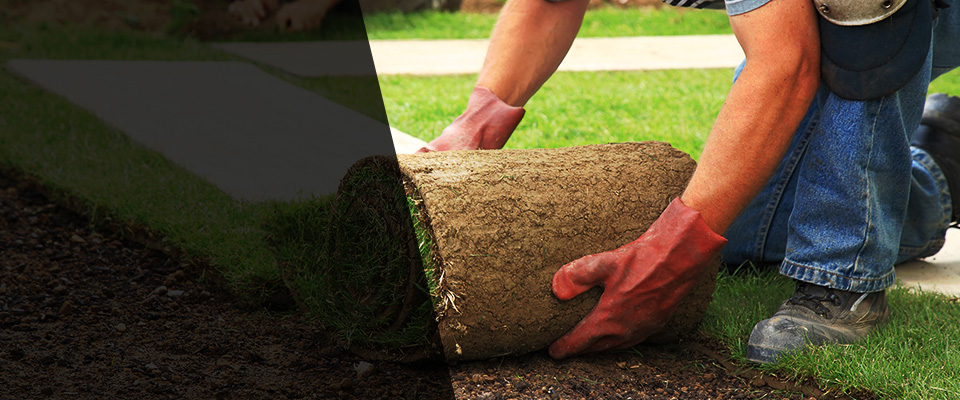 Larwill Landscapers